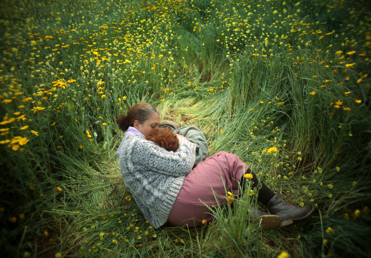 Photo du film Who Do I Belong To [2024]