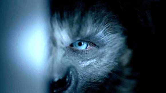 Photo from the movie Wolves