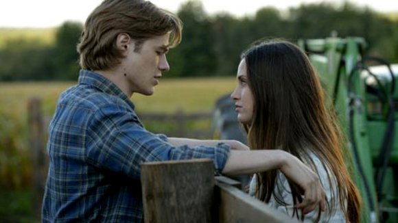 Photo from the movie Wolves