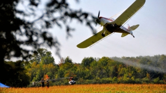 Photo du film L'incroyable voyage des papillons [2012]