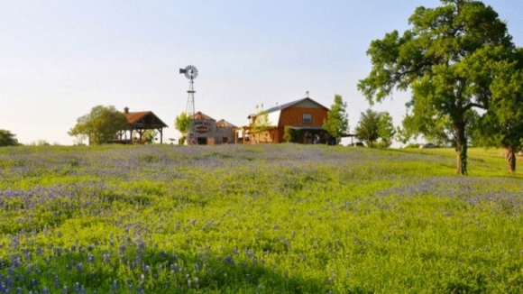 Photo du film L'incroyable voyage des papillons [2012]