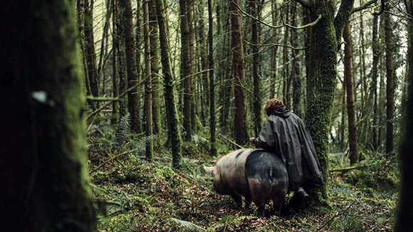 Photo from the movie The Lobster