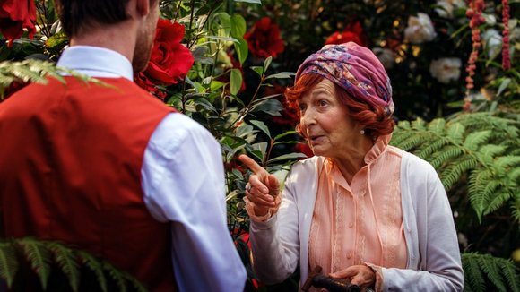 Photo from the movie Stung