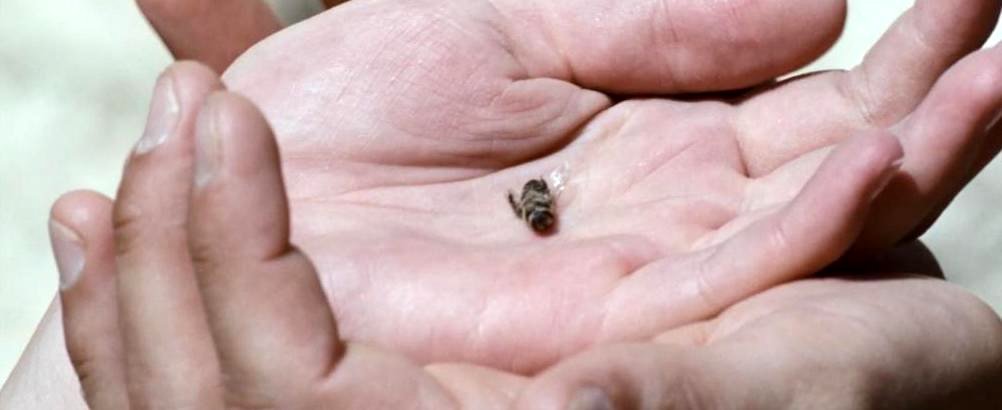 Photo from the movie Zero