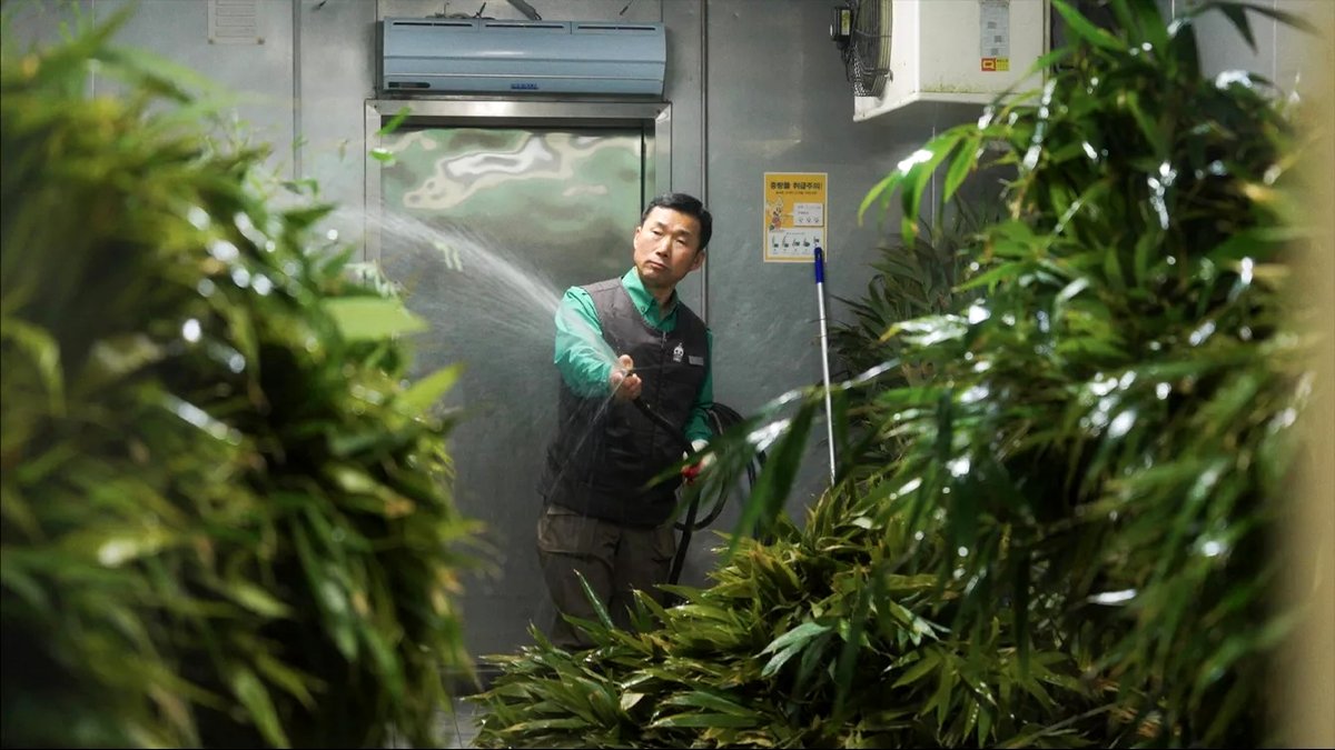 Photo from the movie My Dearest Fu Bao