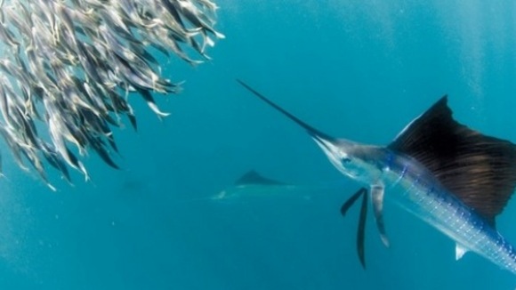 Photo from the movie One Life