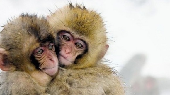 Photo from the movie One Life