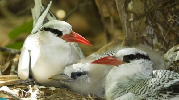 Photo from the movie One Life