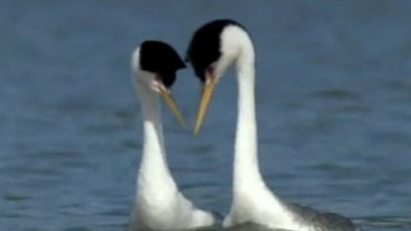 Photo from the movie One Life