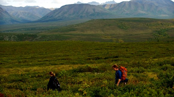 Photo from the movie Wildlike