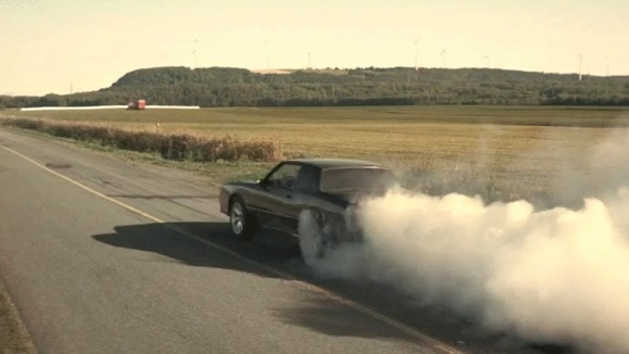 Photo from the movie The Sound of Trees