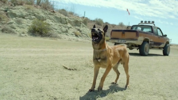 Photo from the movie Desierto