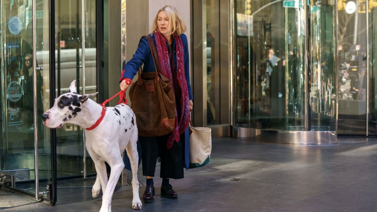 Photo from the movie The Friend