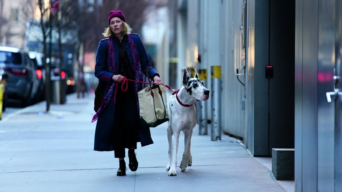 Photo from the movie The Friend