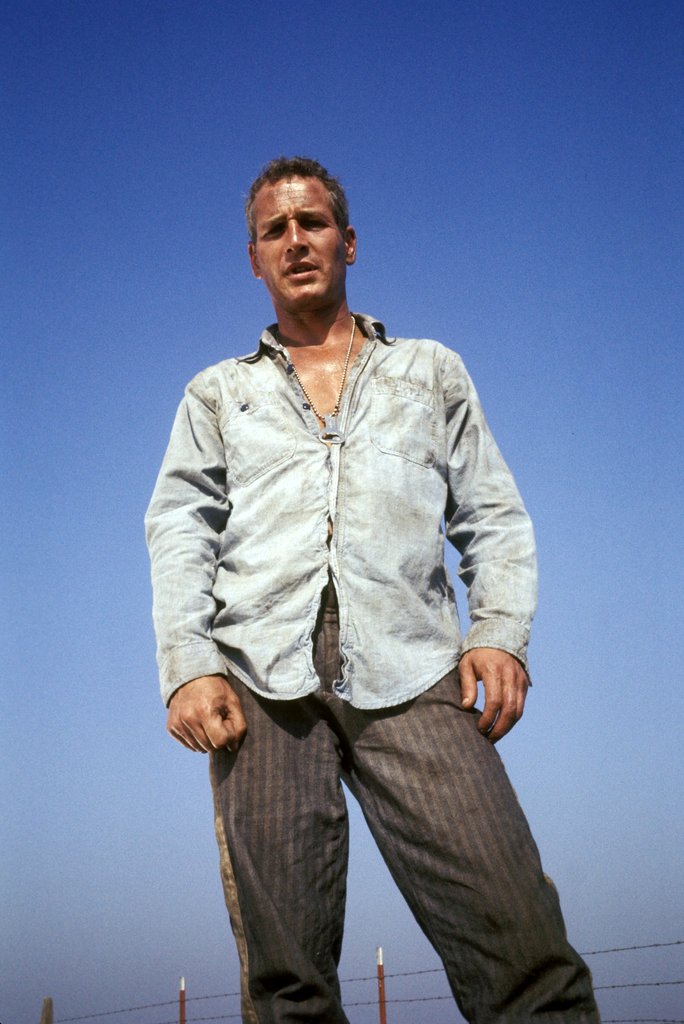 Photo from the movie Cool Hand Luke