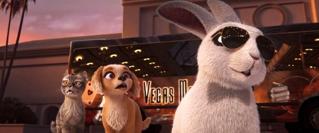 Photo from the movie Gracie and Pedro: Pets to the Rescue