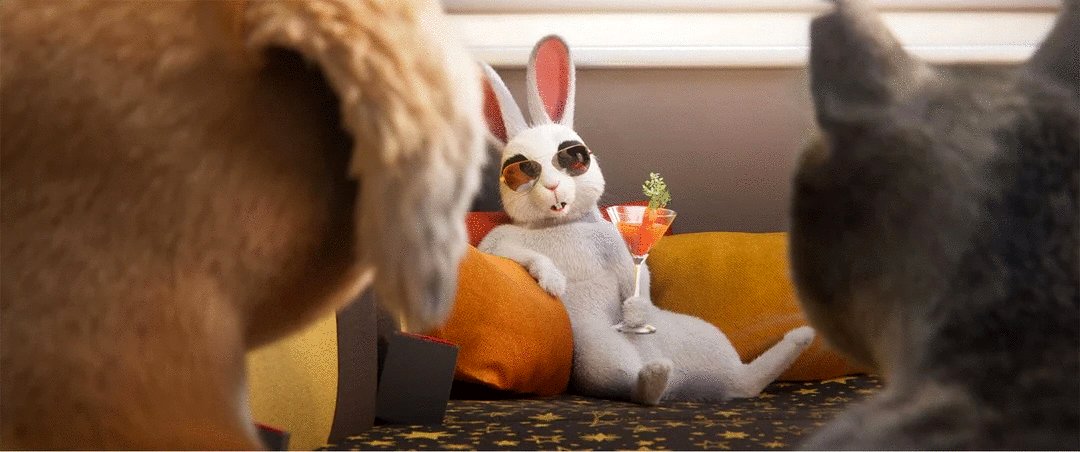 Photo from the movie Gracie and Pedro: Pets to the Rescue