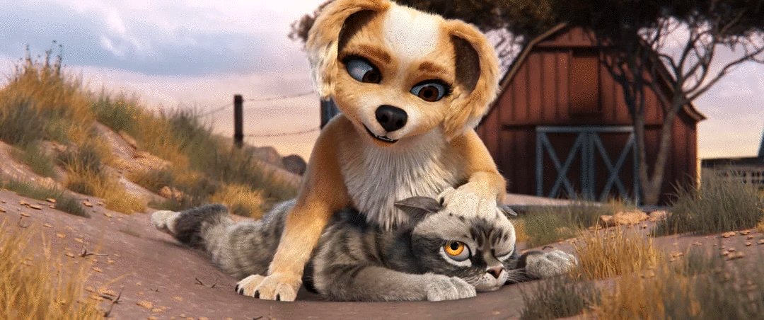 Photo from the movie Gracie and Pedro: Pets to the Rescue