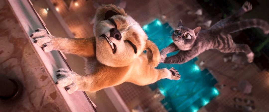 Photo from the movie Gracie and Pedro: Pets to the Rescue