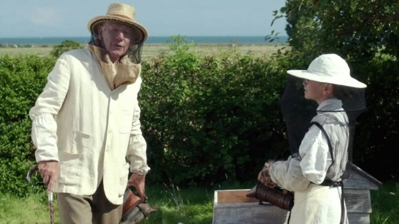 Photo from the movie Mr. Holmes