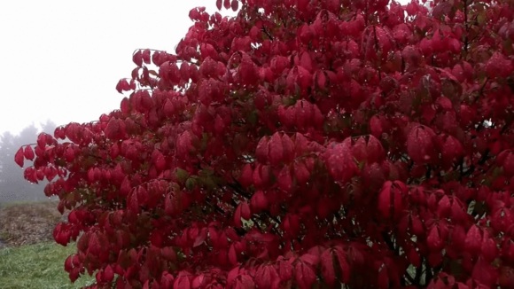 Photo from the movie One Cut, One Life