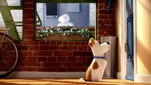 Photo from the movie The Secret Life of Pets