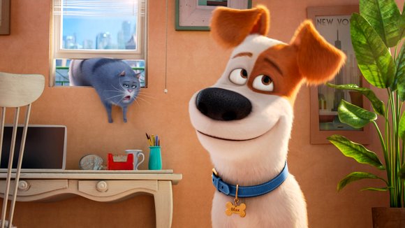 Photo from the movie The Secret Life of Pets
