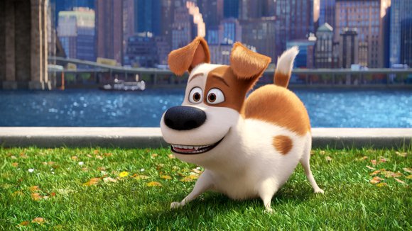 Photo from the movie The Secret Life of Pets