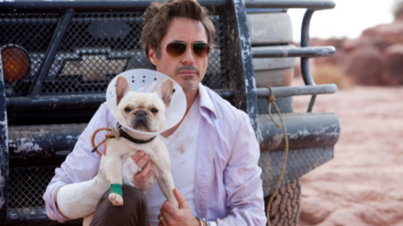 Photo from the movie Due Date