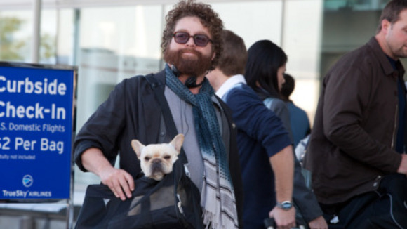 Photo from the movie Due Date