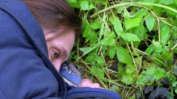 Photo from the movie The Hunter