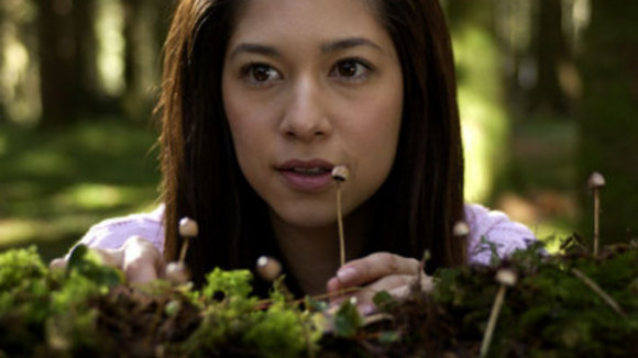 Photo from the movie Shrooms