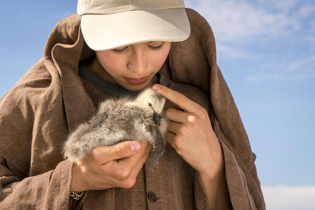 Photo from the movie Spread Your Wings