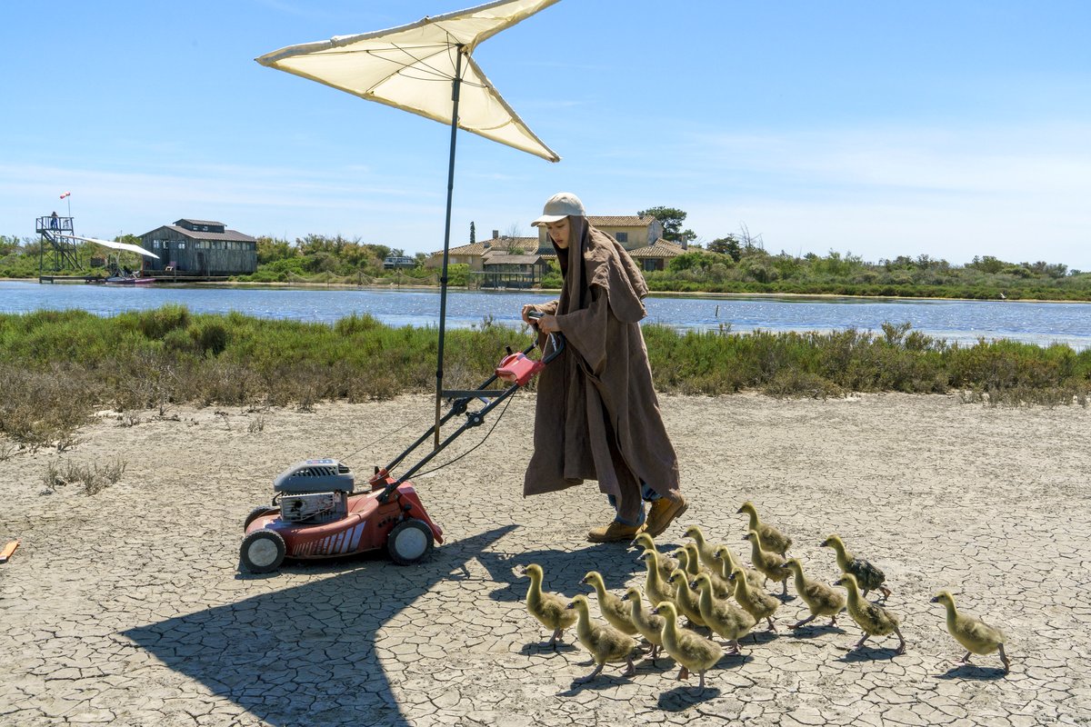 Photo from the movie Spread Your Wings