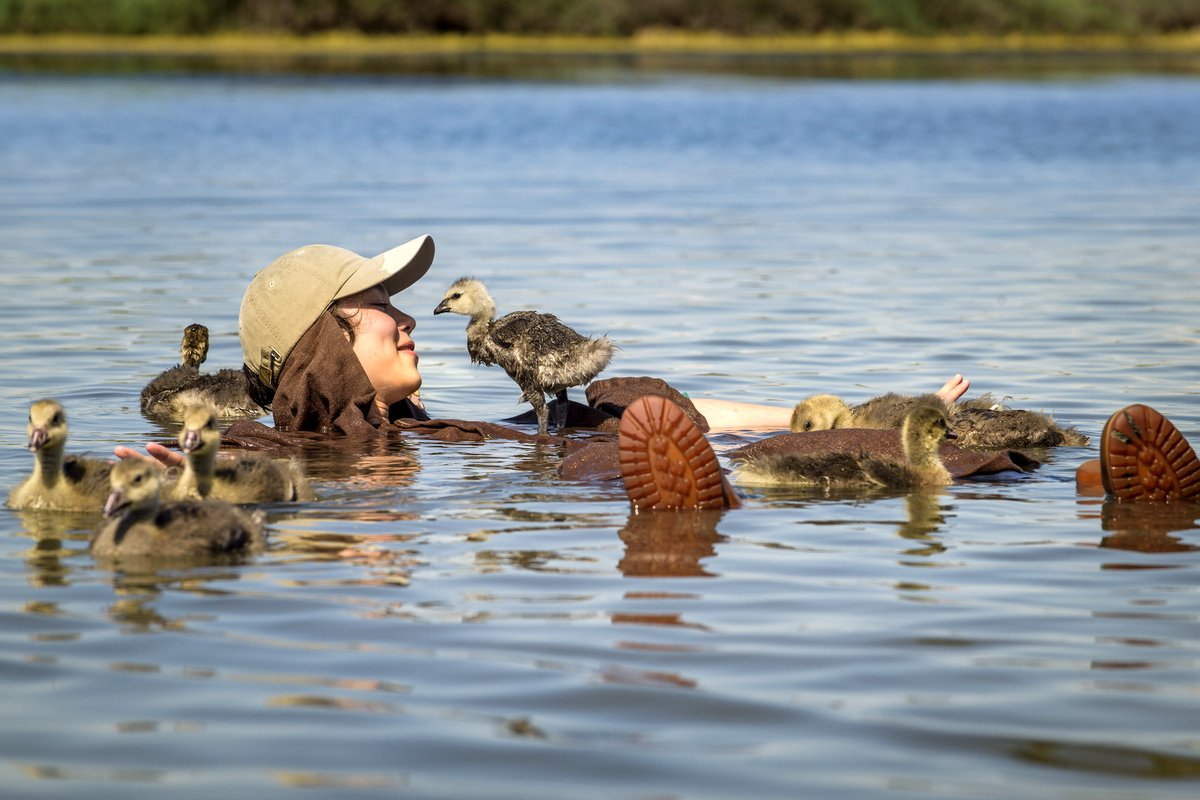 Photo from the movie Spread Your Wings