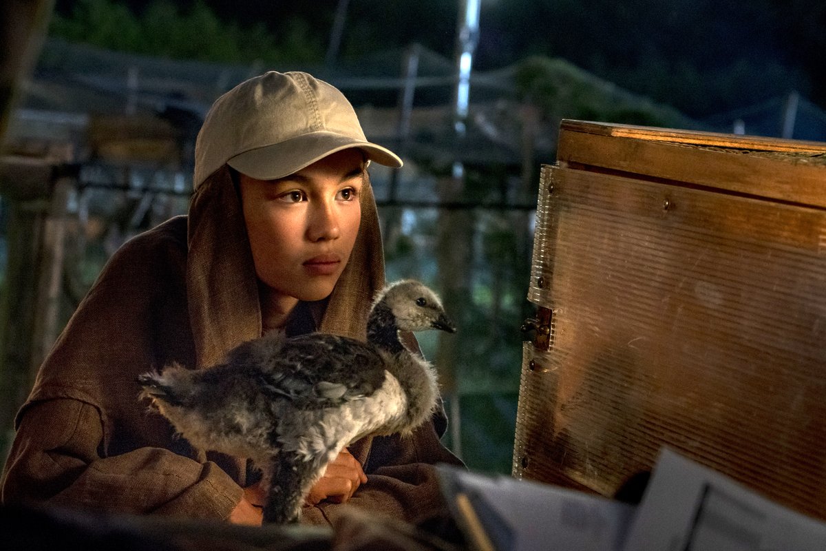 Photo from the movie Spread Your Wings