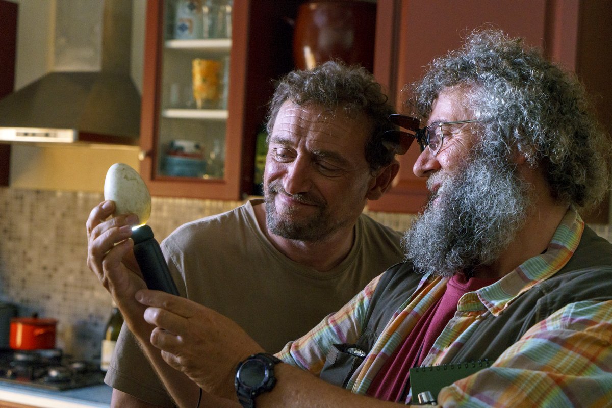 Photo from the movie Spread Your Wings