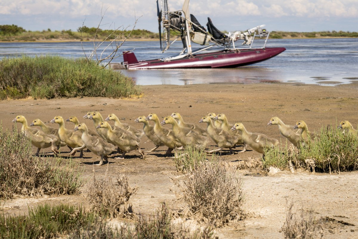 Photo from the movie Spread Your Wings