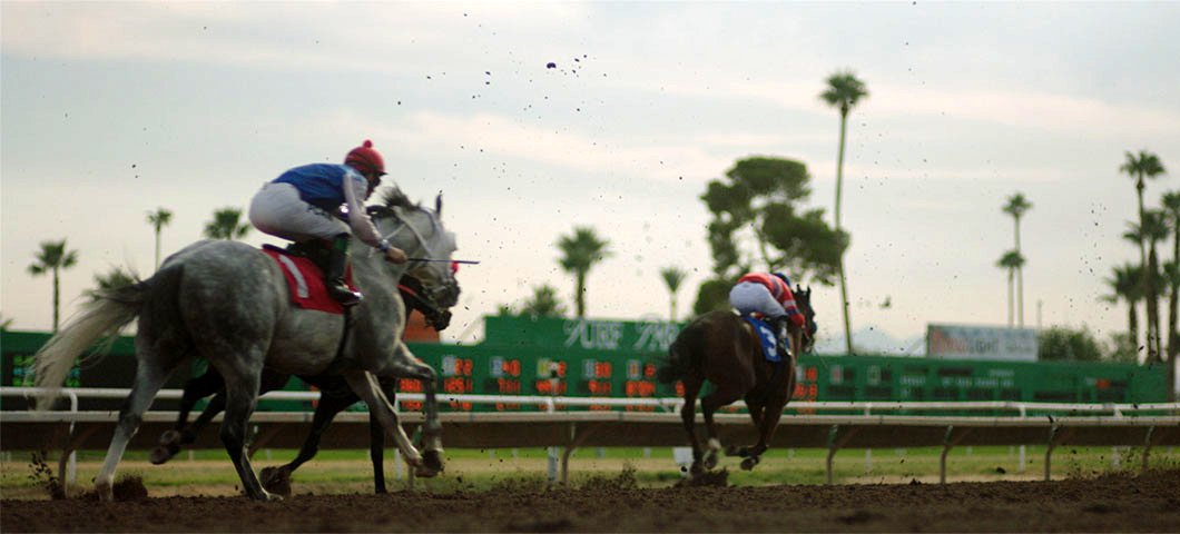 Photo from the movie Jockey