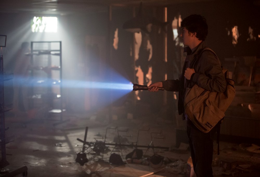 Photo from the movie Paper Towns