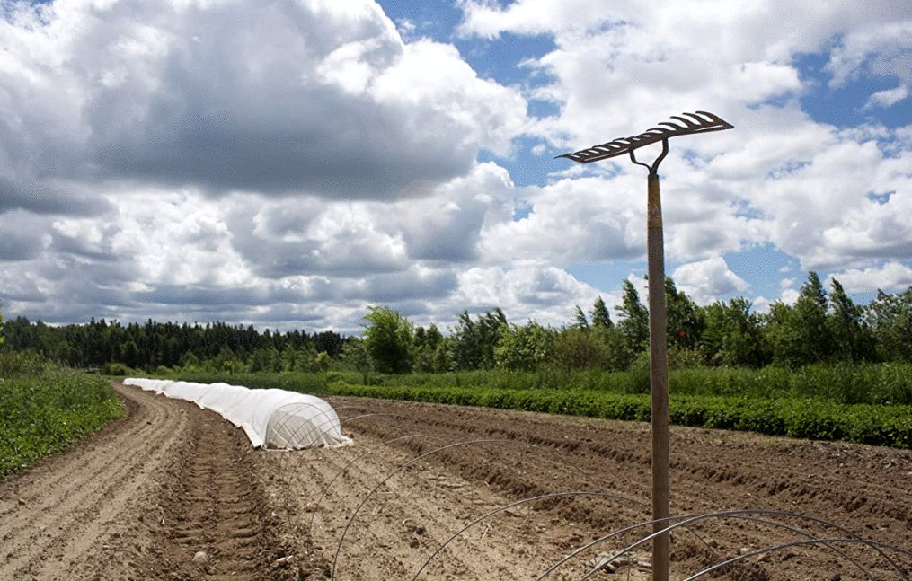 Photo from the movie L'acte de la beauté