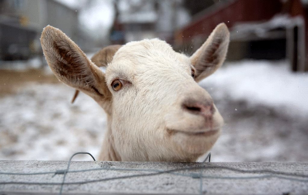 Photo from the movie L'acte de la beauté