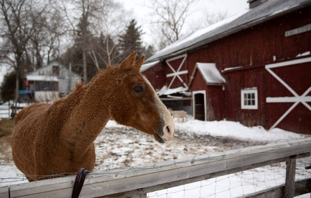 Photo from the movie L'acte de la beauté