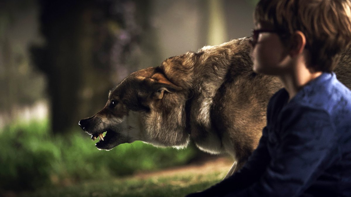 Photo from the movie Color Out of Space