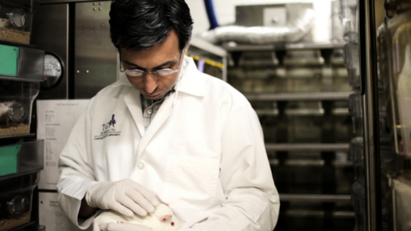 Photo from the movie Rubberneck