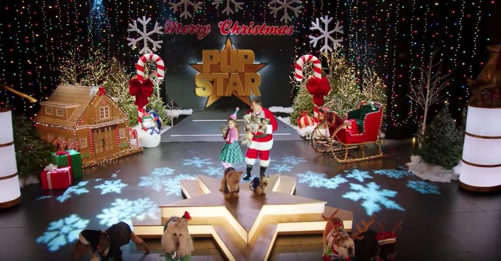 Photo from the movie Puppy Star Christmas