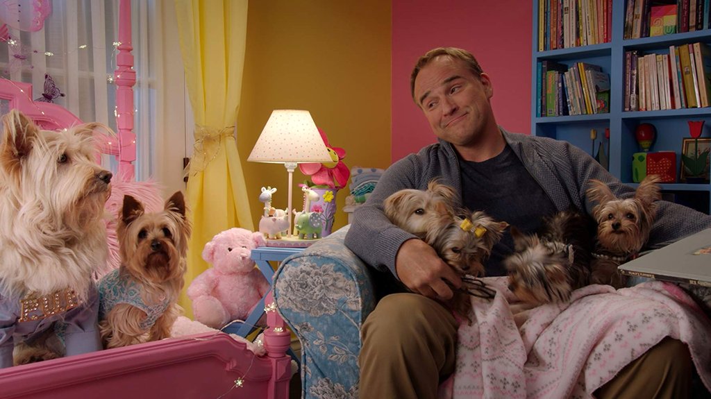 Photo from the movie Puppy Star Christmas