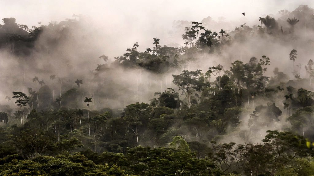 Photo from the movie Triple Frontier