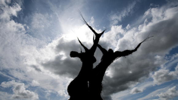 Photo from the movie The Wicker Tree