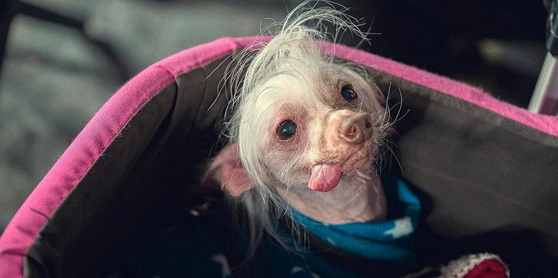 Photo from the movie Too Much